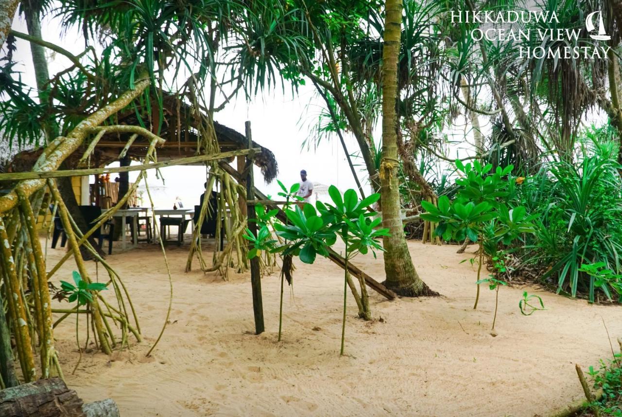 Hikkaduwa Ocean View Homestay Exterior photo